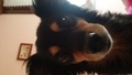20170520_083928.jpg