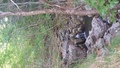06_cascata_doccione.jpg