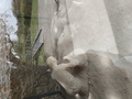 072_pompeii_orto_dei_fuggiaschi.jpg