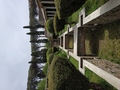 090_pompeii_praedia_di_giulia_felice.jpg