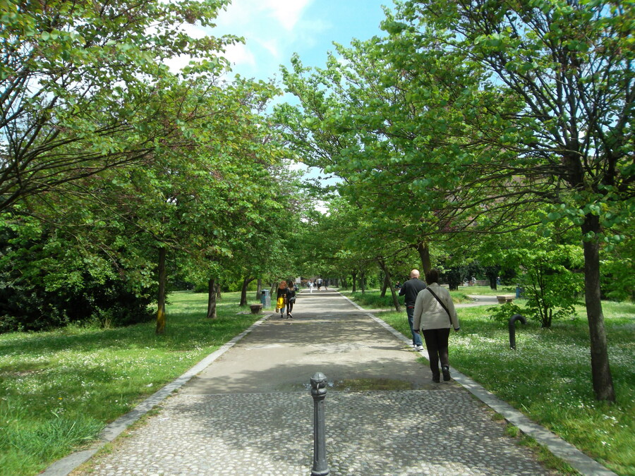 19_castello_visconteo.jpg