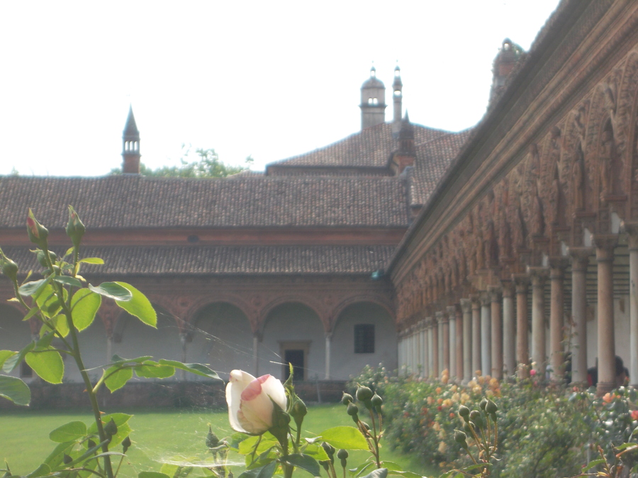 40_certosa_di_pavia.jpg