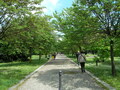 19_castello_visconteo.jpg