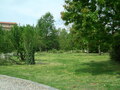 25_castello_visconteo.jpg
