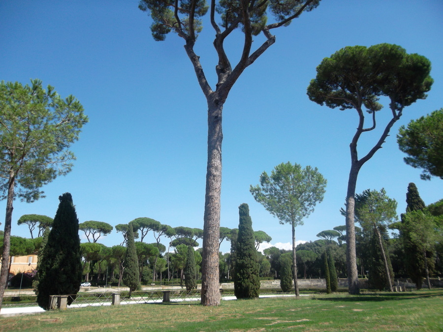 32_giardini_di_villa_borghese.jpg