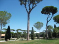 32_giardini_di_villa_borghese.jpg