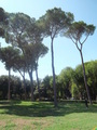 34_giardini_di_villa_borghese.jpg