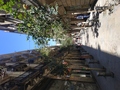 35_alleys_and_shops.jpg