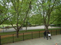 037_sightseeing.jpg