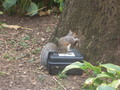 056_washington_square_park.jpg