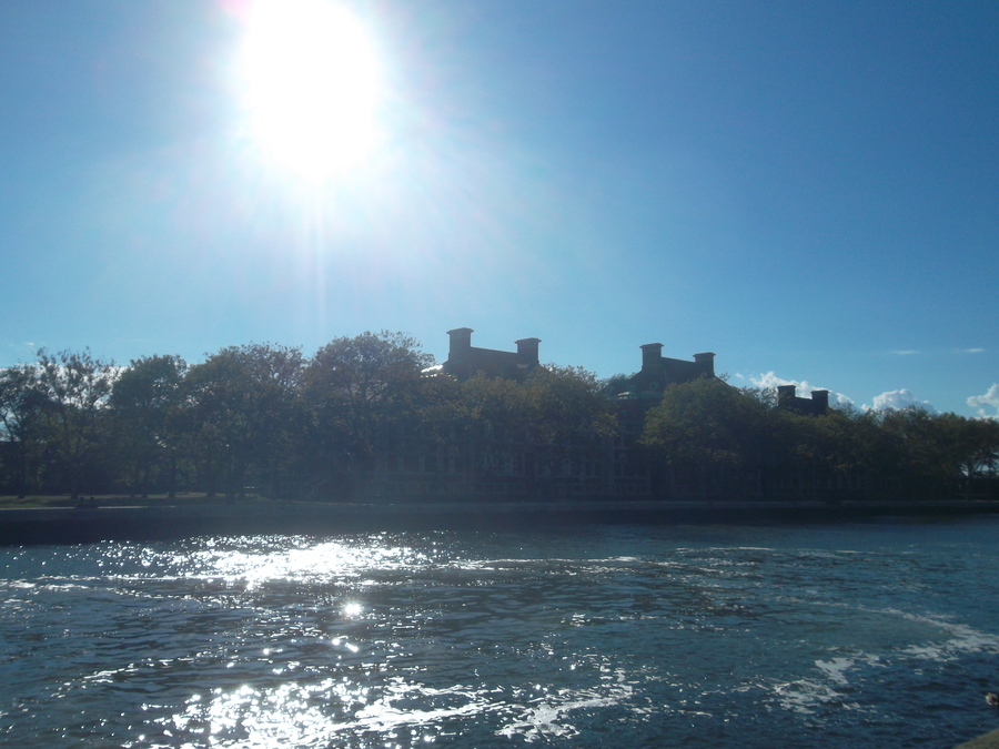 51_back_to_manhattan.jpg