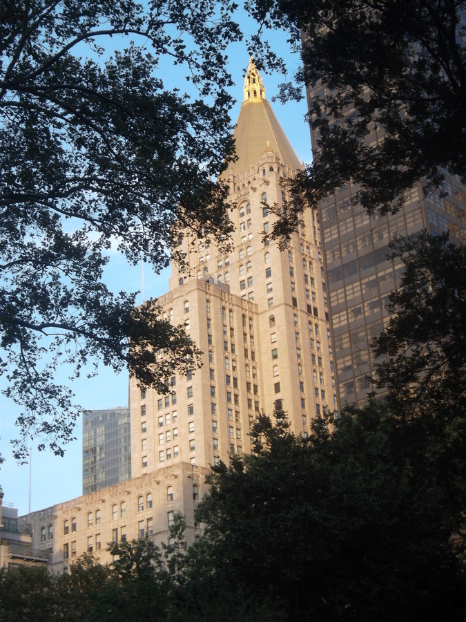 184_madison_square_park.jpg
