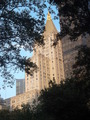 184_madison_square_park.jpg