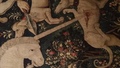 088_the_unicorn.jpg